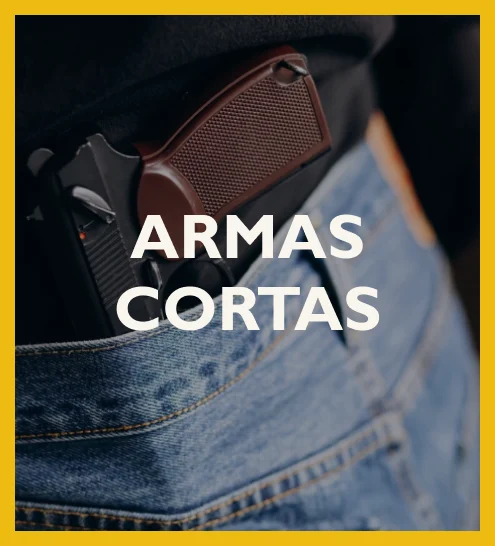 Armería Alpha